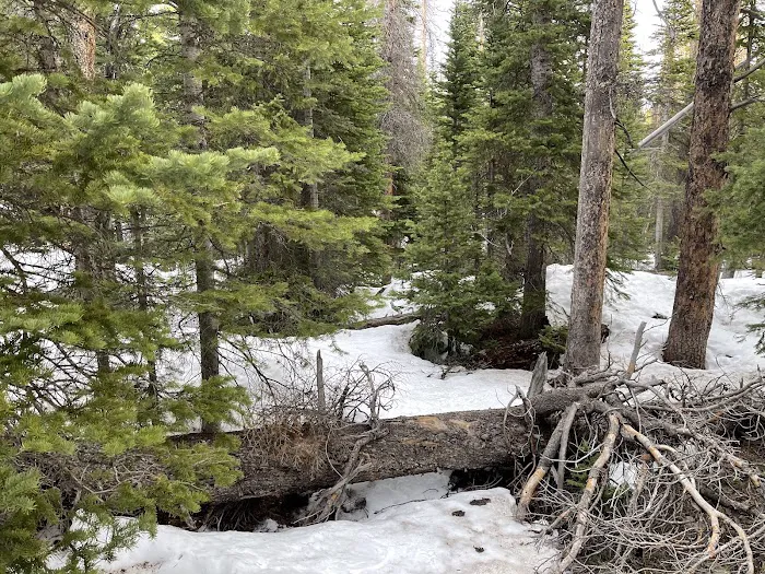 Upper Mill Creek Picture 4