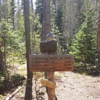 Mill Creek Basin ico