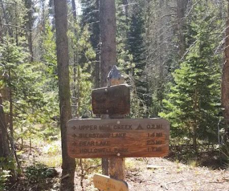 Mill Creek Basin