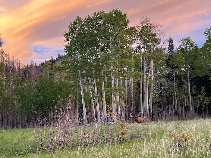 Mill Creek Basin Picture 5
