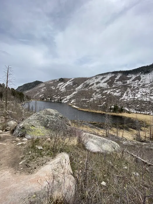 Old Forest Inn Backcountry Campsite Picture 3