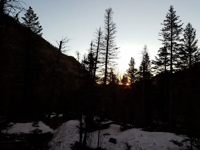 Old Forest Inn Backcountry Campsite Picture 1