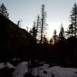 Old Forest Inn Backcountry Campsite