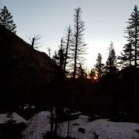 Old Forest Inn Backcountry Campsite ico