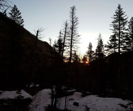 Old Forest Inn Backcountry Campsite