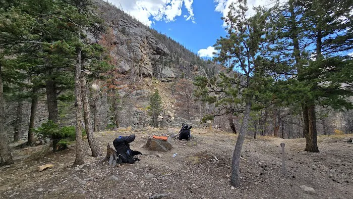 Old Forest Inn Backcountry Campsite Picture 5