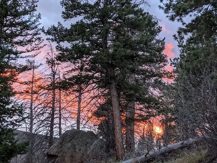 Cub Creek Primitive Campground Picture 8