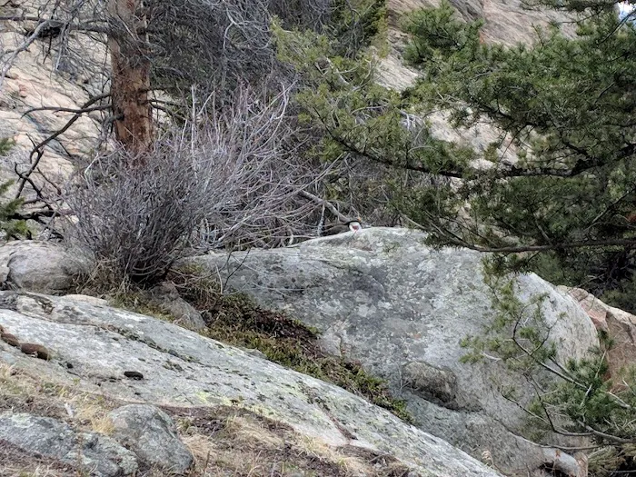 Cub Creek Primitive Campground Picture 10