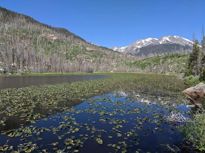 Cub Creek Primitive Campground Picture 4