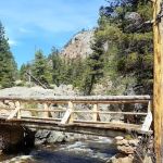 Cub Creek Primitive Campground