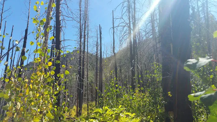 Cub Creek Primitive Campground Picture 3