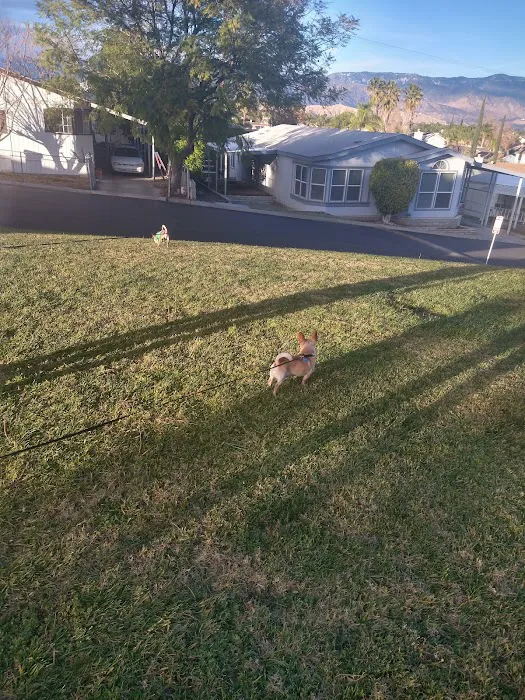 San Bernardino Spa Mobile Home Estates Picture 8