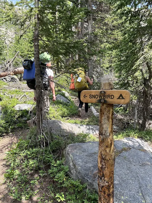Snowbird Picture 2