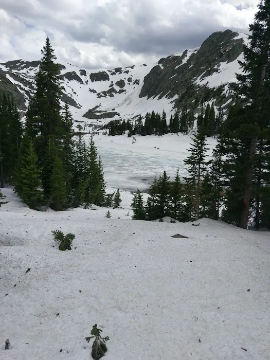 Snowbird Picture 4