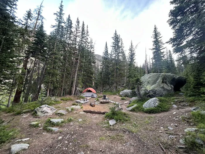 Snowbird Picture 1