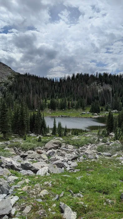 Snowbird Picture 3