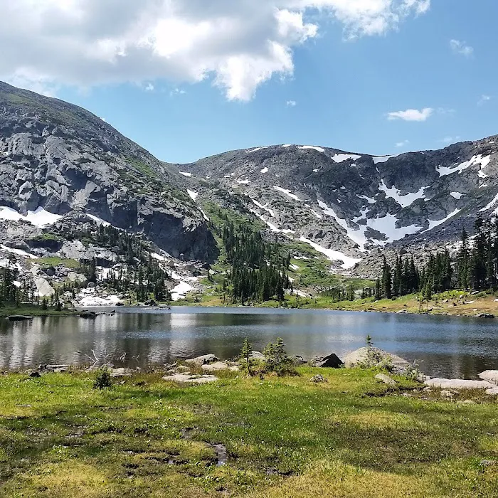 Snowbird Picture 5