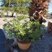 Seaview Estates Mobile Home & RV Park ico