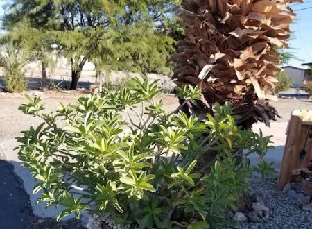 Seaview Estates Mobile Home & RV Park