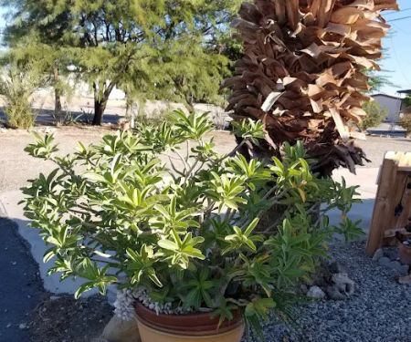 Seaview Estates Mobile Home & RV Park