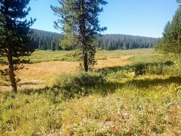 Meadows Campground Picture 9