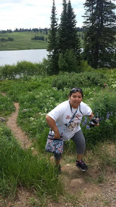 Meadows Campground Picture 10