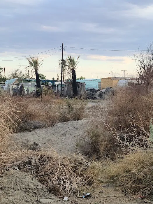 Desert Shores Trailer Park Picture 4