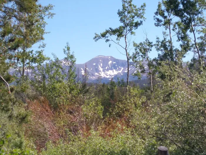 Aspen Campground Picture 6