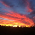 Jackson's Hideaway RV Park