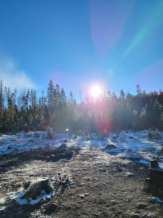 Pines Campground Picture 7