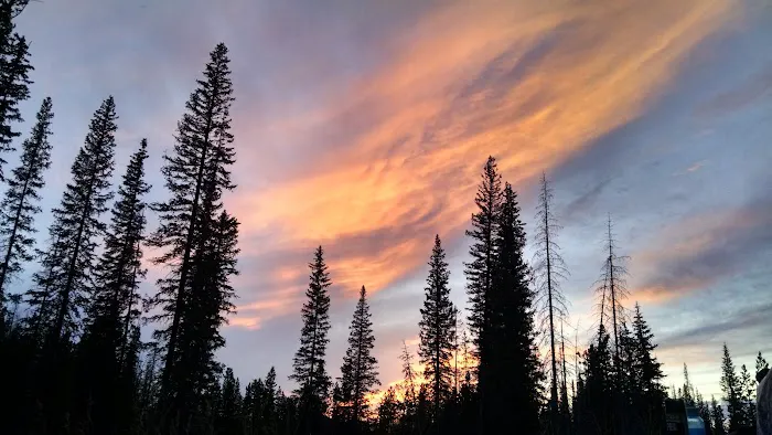 Pines Campground Picture 4