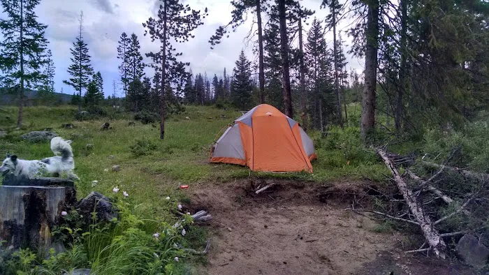 Pines Campground Picture 8
