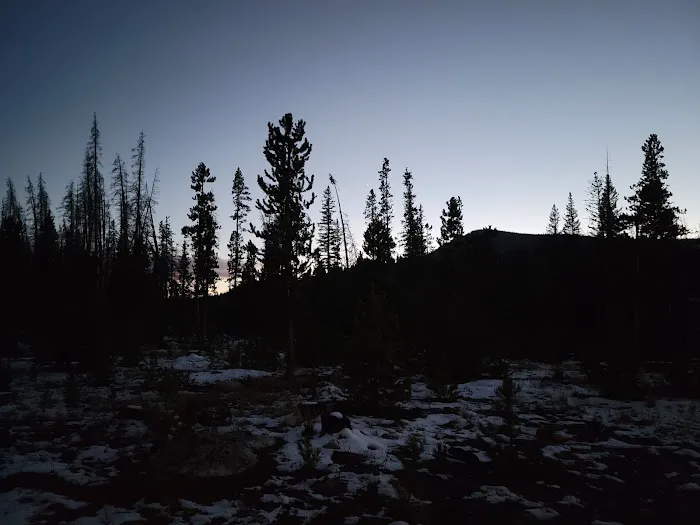 Pines Campground Picture 2