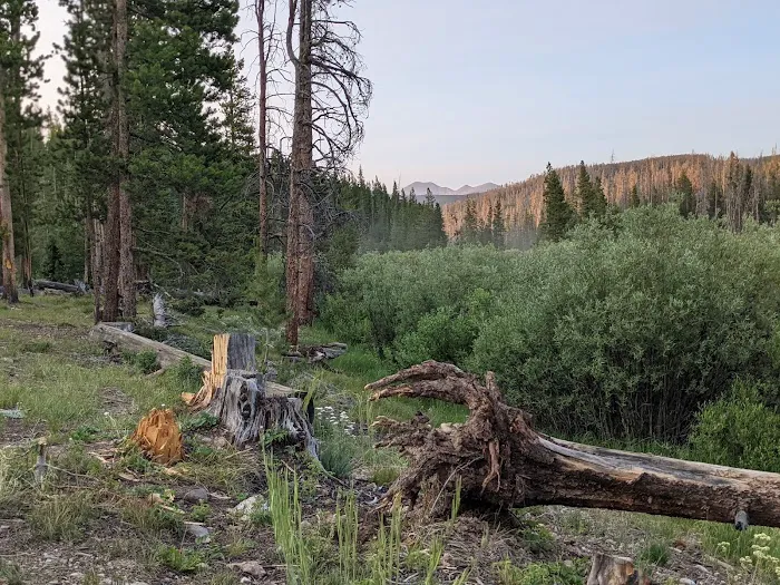 Pines Campground Picture 1