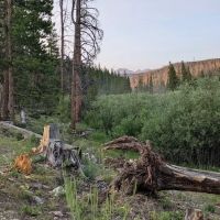 Pines Campground ico