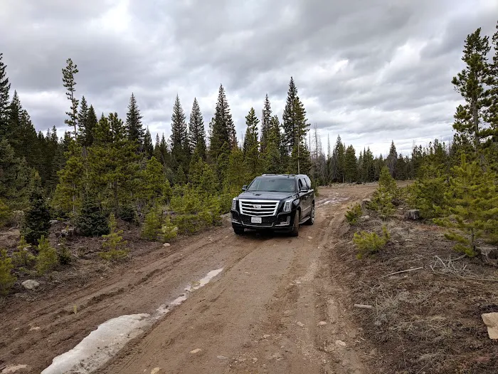 Pines Campground Picture 10