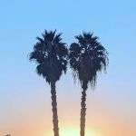 March ARB FamCamp RV Park