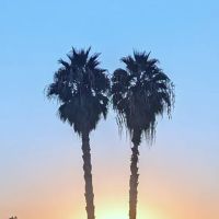 March ARB FamCamp RV Park ico