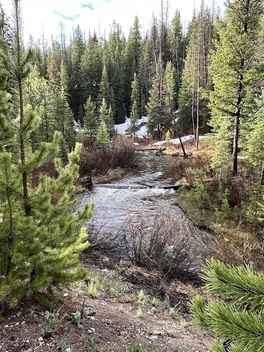 Ranger Lakes Campground Picture 1