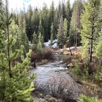 Ranger Lakes Campground ico