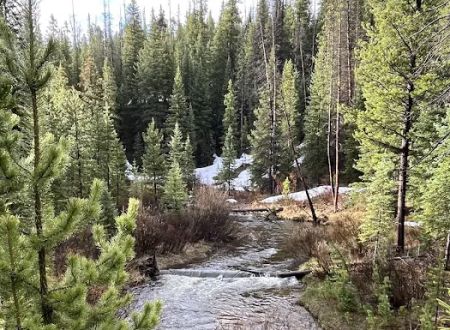 Ranger Lakes Campground