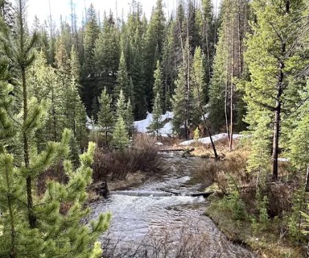 Ranger Lakes Campground