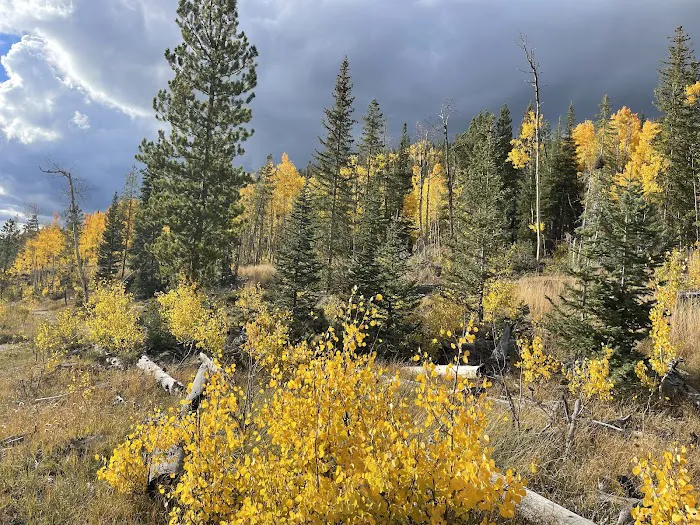 Ranger Lakes Campground Picture 9