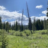 Bockman Campground ico