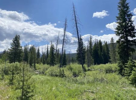 Bockman Campground