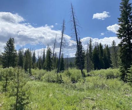 Bockman Campground