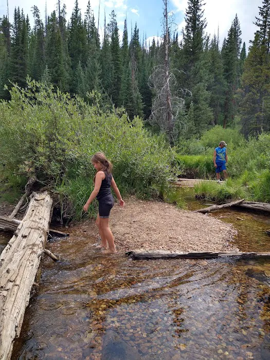 Bockman Campground Picture 10