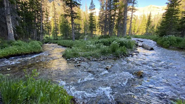 Skeleton Gulch Picture 6