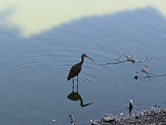 Reflection Lake RV Park Picture 1