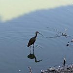 Reflection Lake RV Park